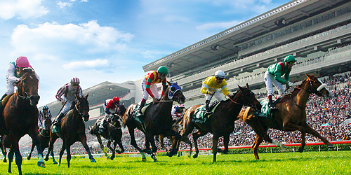 Hipódromo Happy Valley 